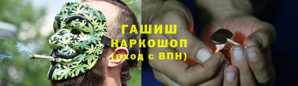 гашик Алзамай