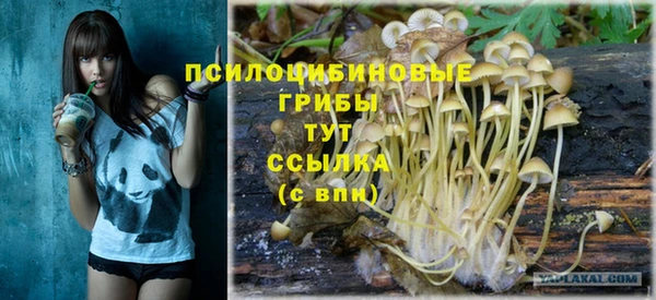 дурь Приозерск