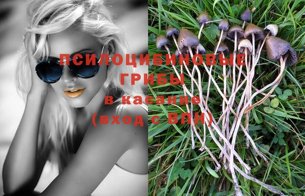 винт Алексин