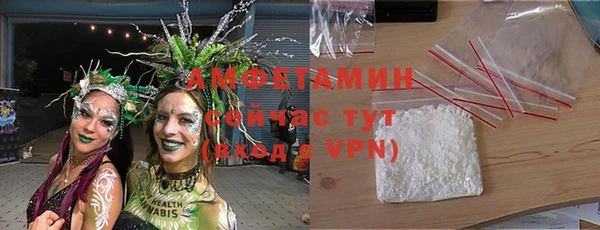 гашик Алзамай