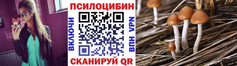 Псилоцибиновые грибы MAGIC MUSHROOMS  хочу   Байкальск 